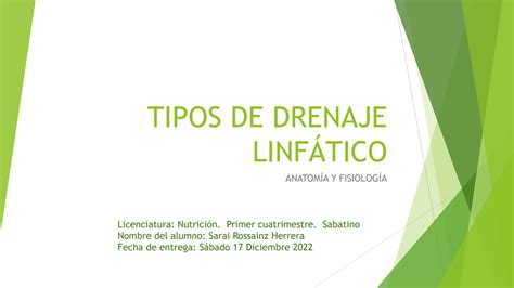 Solution Tipos De Drenaje Linf Tico Studypool