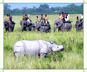 Jorhat Assam - Jorhat India, Jorhat Tourism, Travel To Jorhat City