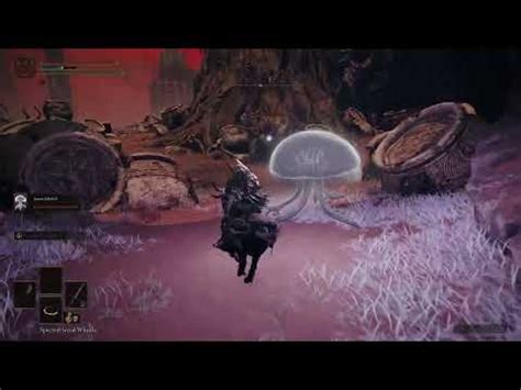 Elden Ring Wet Hot WILD Pt YouTube