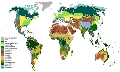 What Is A Biome Worldatlas