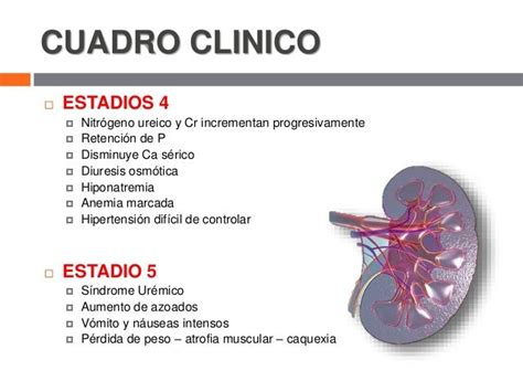 Insuficiencia Renal Cronica