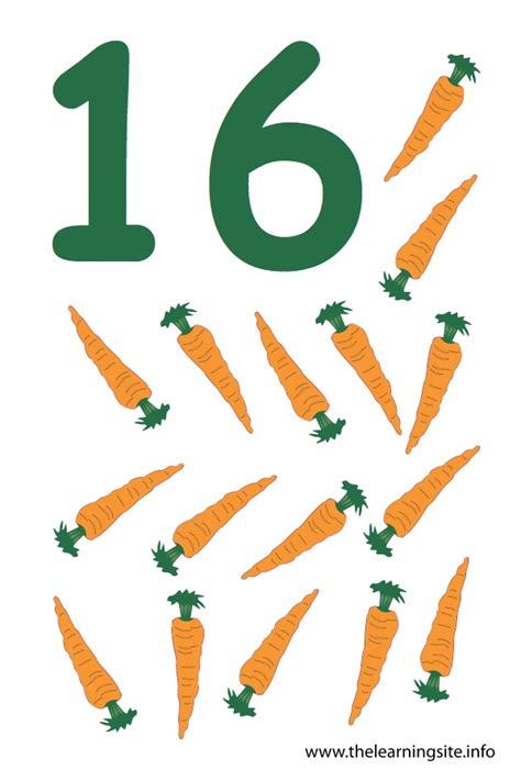 Number Sixteen Flashcard 16 Carrots The Learning Site