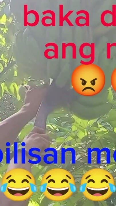 Bilisan Mo Baka Maabutan Ka Ng May Arishorts Youtube