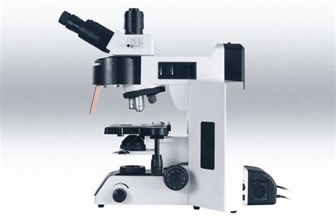 Structure and Principle of Fluorescence Microscope - Light Microscopes ...