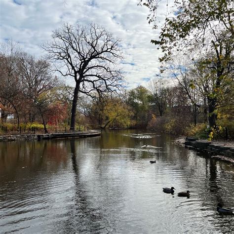 Gompers Lagoon Wetland North Mayfair Chicago Il