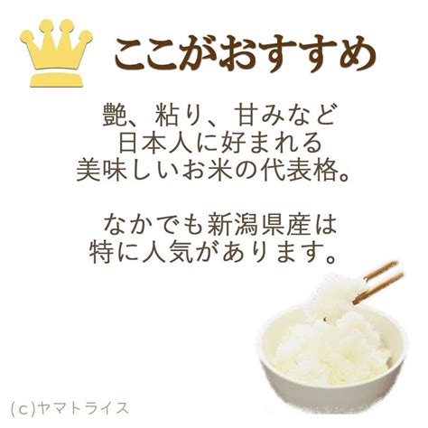 米 お米 コシヒカリ 新潟県産 10kg 5kg×2 白米 令和5年産 007264 2ヤマトライス Yahooショッピング店 通販