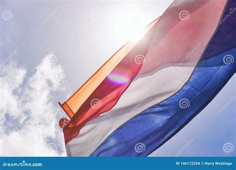 Dutch Flag Orange