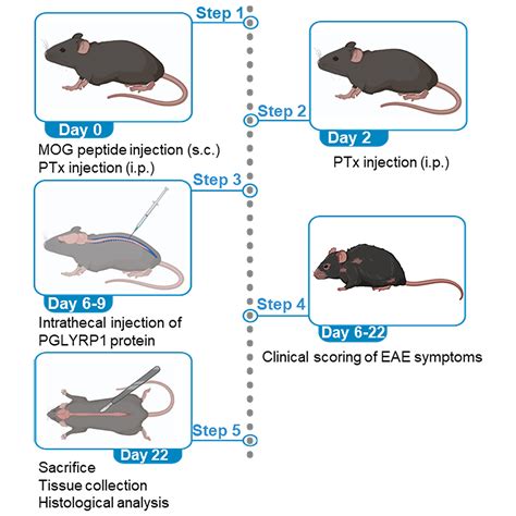 Cell Press STAR Protocols