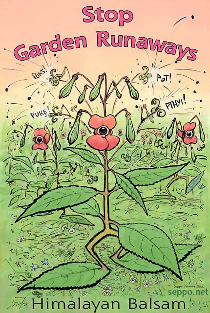 Plants Invasive Species Himalayan Balsam Environmental Cartoons