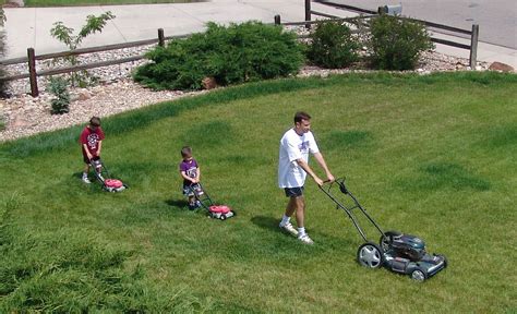 Toro Lawn Mower Cutting Grass