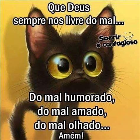 Ele Estava Mal Humorado Ontem - Bom Dia Gato Mal Humorado