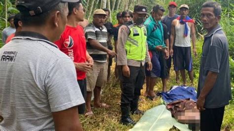 Blitar Geger Mayat Perempuan Ditemukan Mengambang Di Sungai Brantas