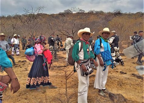 Recuperan Wixaritaris Tierras En Manos De Ganaderos De Nayarit