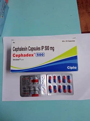 Cephadex 500 Capsule At Rs 500 Stripe Nagpur ID 2853685849262