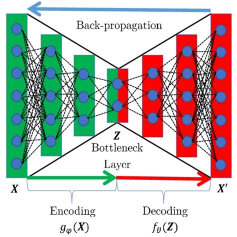 Autoencoder Framework Using Feed Forward Neural Networks Blue Circles