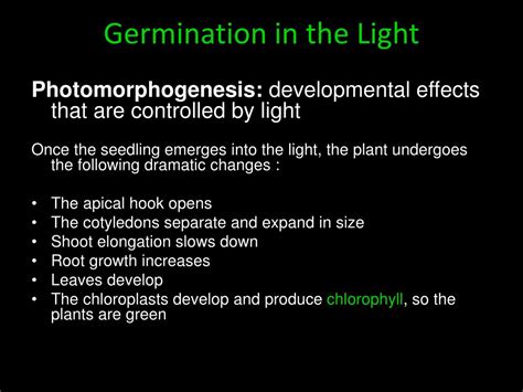 Ppt Seed Germination Signal Response Powerpoint Presentation Free