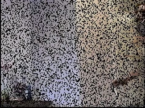 Jamie Lynn Porn Videos Porn Star Sex Scenes XHamster