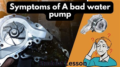 Symptoms Of A Bad Water Pump Youtube