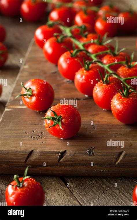 Tomatoes Hi Res Stock Photography And Images Alamy