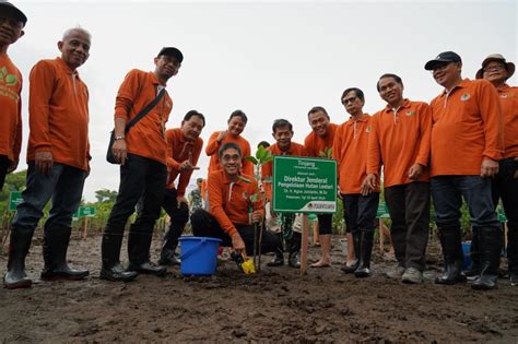 Pimpin Tanam Mangrove Serentak Di Pasuruan Jawa Timur Dirjen PHL KLHK