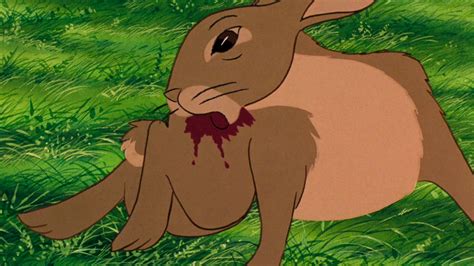 Hazel - Watership Down Wiki