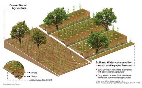 Terracing Practice Increases Food Security And Mitigates Climate Change