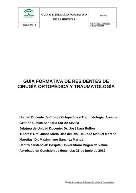 Pdf Gu A Formativa De Residentes De Cirug A Guia O Itinerario