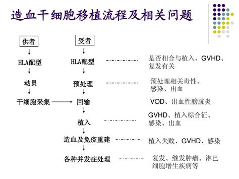 造血干细胞移植的并发症word文档在线阅读与下载免费文档