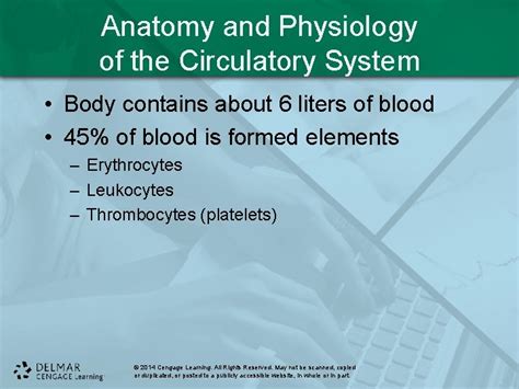 Chapter Phlebotomy Venipuncture And Capillary Puncture