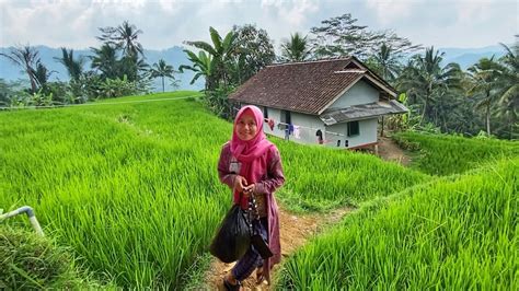 Hanya Ada 3 Rumah Udaranya Sejuk Ayem Tentram Alamnya Indah Damai