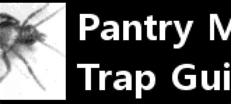 Pantry Moth Trap Guide - Control Pantry Moths