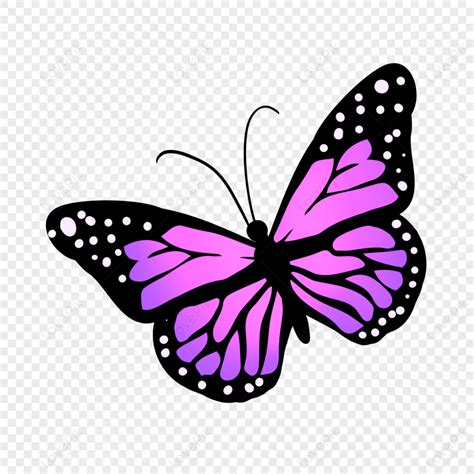 Purple Butterfly Clipart Images Hd Pictures For Free Vectors Download