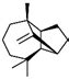 Ijms Free Full Text The Sequence Characteristics And Binding