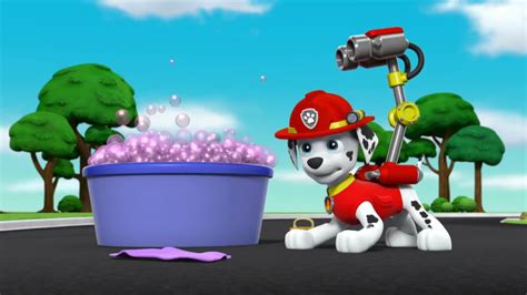 Paw Patrol Marshall S Weekly Wipeouts Season Pups Save An