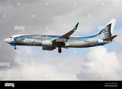 Alaska Airlines Famous Salmon Themed Livery Promoting The Alaskan Seafood Industry Lands At