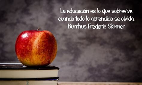 Más De 60 Frases De Educación Enseñanza Y Aprendizaje Para Reflexionar