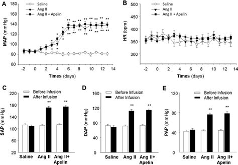 Figure 1 From Chronic Effects Of Apelin On Cardiovascular Regulation