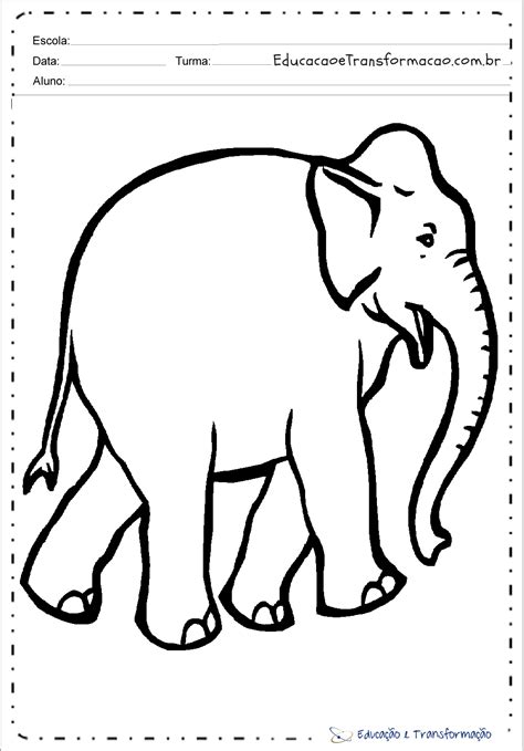 Elefante Desenhos De Animais Para Colorir E Imprimir Educa O E