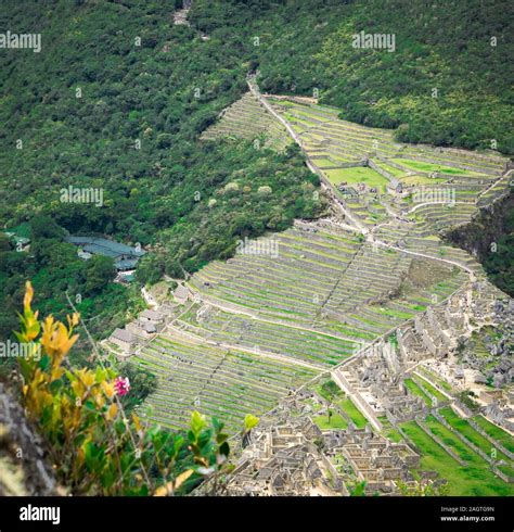 The Terraces Or Agricultural Platforms Of The Inca Empire Machu Picchu