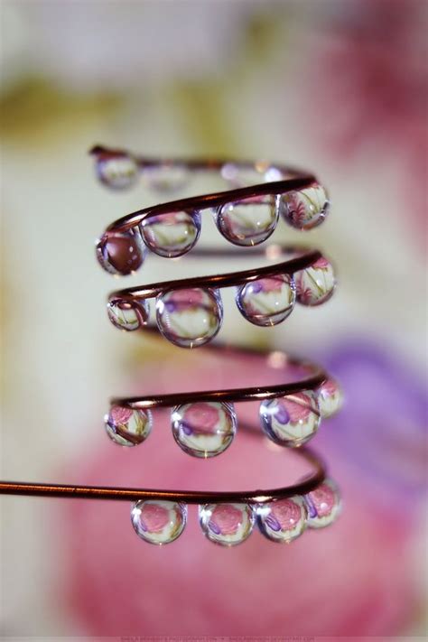 Wonderful And Gorgeous Water Drop Art - Bored Art