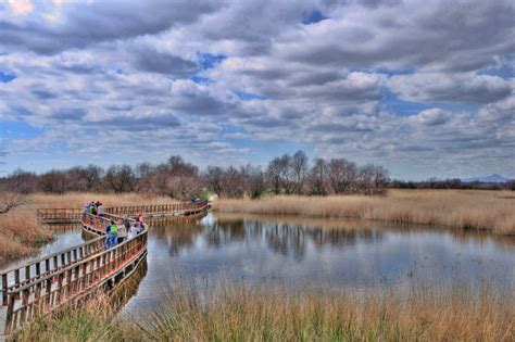 Visita Guiada Al Parque Nacional De Las Tablas De Daimiel Saber Sabor