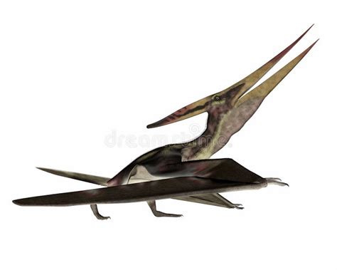 Walking With Dinosaurs Pterosaurs