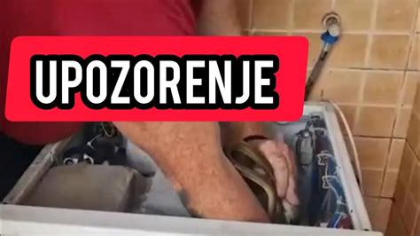 Upozorenje Zbog Zmija Uzas U Srbiji Evo Gde Je Pronadjena Pazite Se