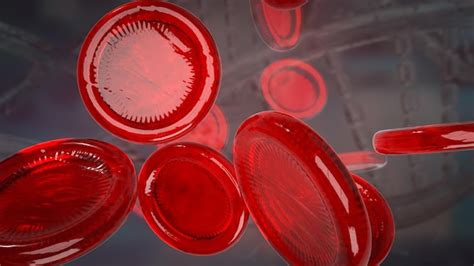 Premium Photo The Blood Cell For Medical Or Education Concept D