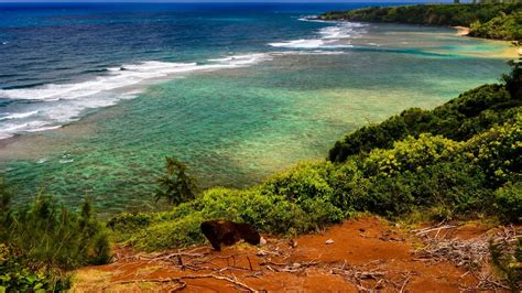 Jurassic Park Hawaii | Hawaii Jurassic Park Information | Find Out More