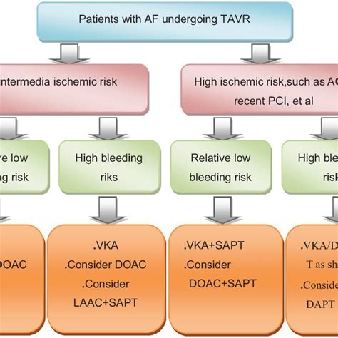 Potential Antithrombotic Therapy Options In Patients With Af Undergoing