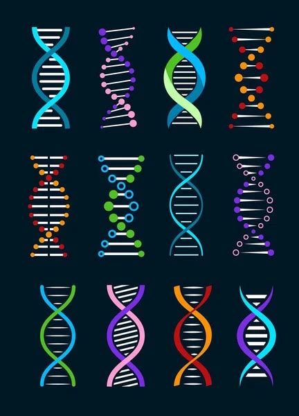 Dna Helix Vector Icons Genetics Medicine Biotechnology Isolated