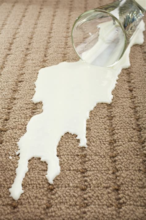 how to get spoiled milk smell out of carpet