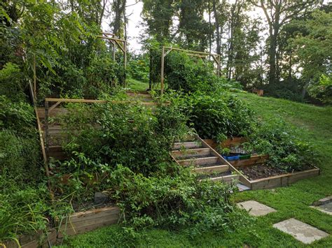 Hillside Terrace Garden