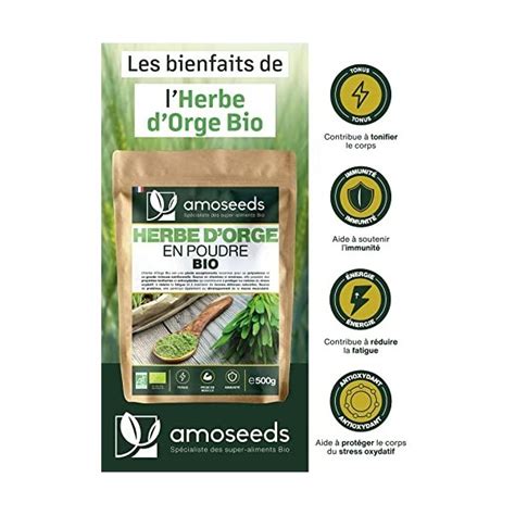 Poudre Dherbe Dorge Bio 500g 100 Jeunes Pousses Sans Gluten